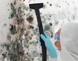 Why You Should Choose Our Mold Remediation Services in Ford City, CA